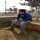 Vishwas Choudhary