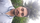 Kadam Sachin Daulatrao