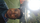 Anshuman Dev