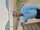 Chandrashekhar U