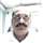 Deepakkumar R Patel
