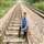 Bijoy K Joy