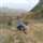 Anil M Bhole