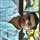 Rahul Kumar Verma