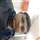 Manish Nahata