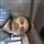 Tanuj Khator