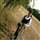 Shikha Rathor