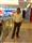Diptarup Sinha
