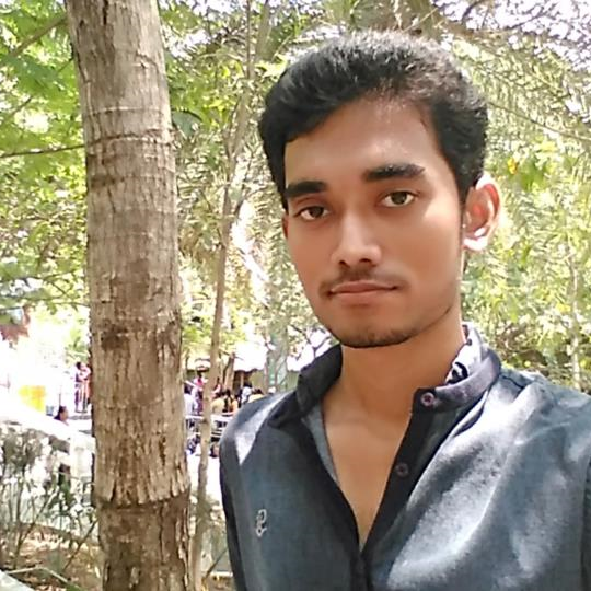 Vignesh S