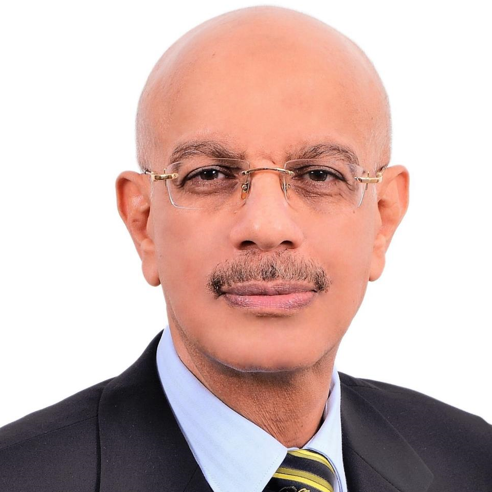Mohammed Ezzatt Hassan Aly
