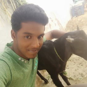 Rajasekar A