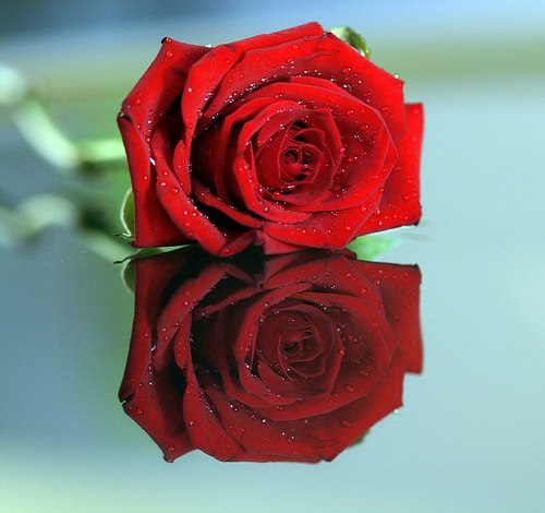 Sandeep Kumar