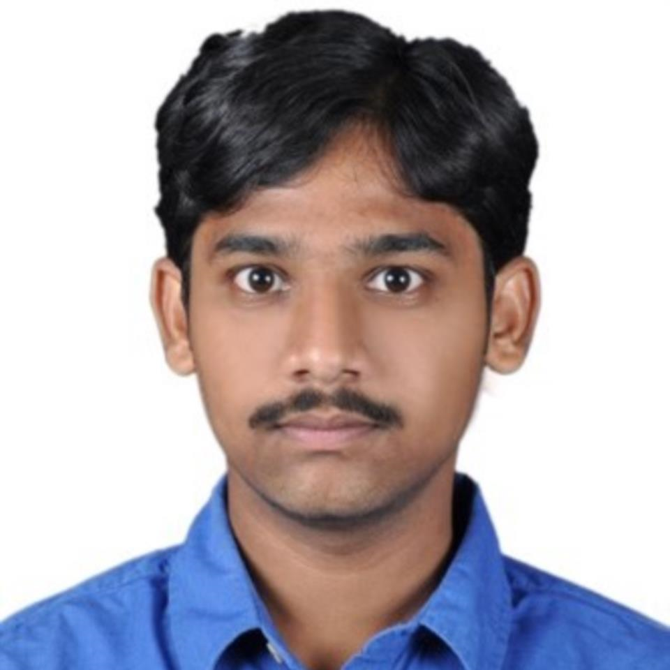Naga Venkatesh Bitra