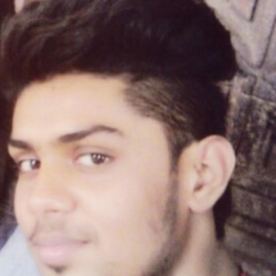 Ansh Goswami