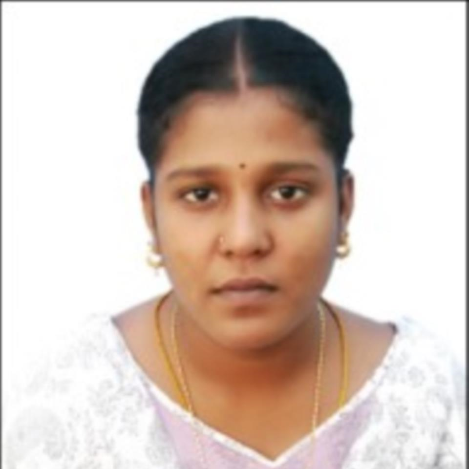 Lakshmi N V