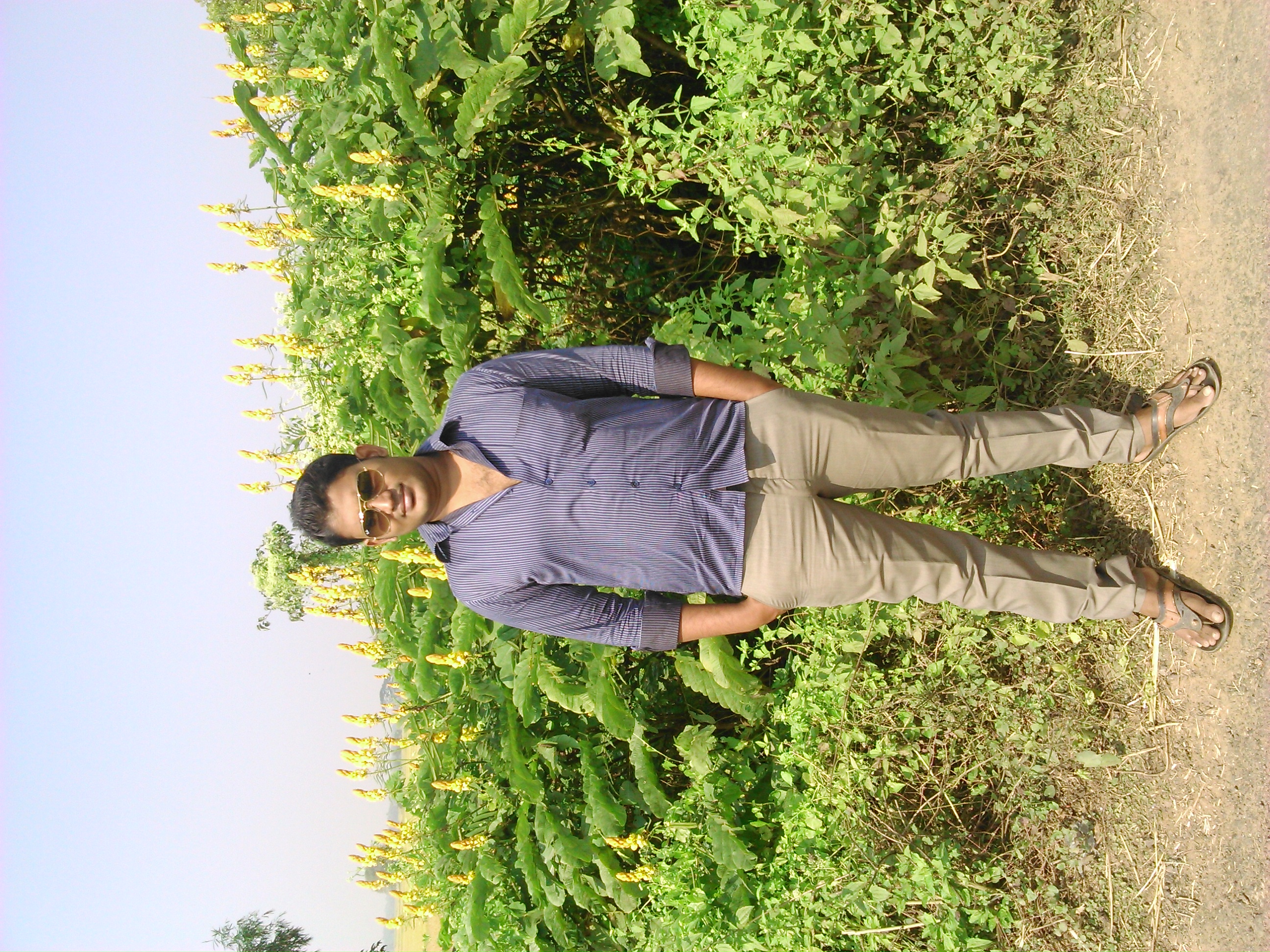 Sitaram Rout
