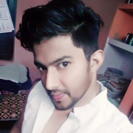 Aditya Narayan