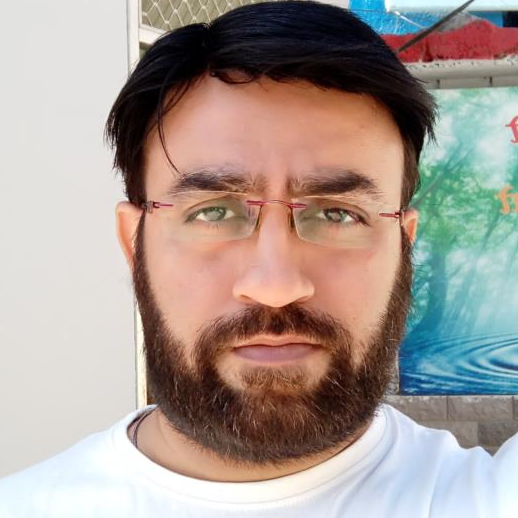 Rohit Kapur