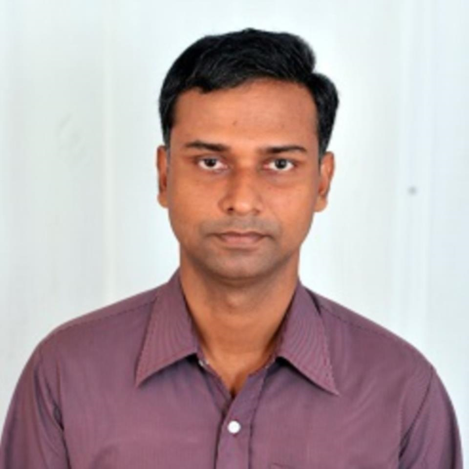 Debasish Sarkar