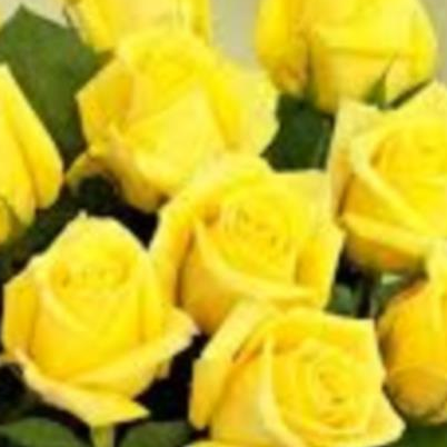 Sunitha R