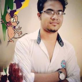 Pallab Kumar Bora