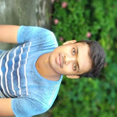 Milin Bhade