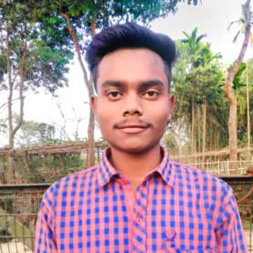Biswajit Mollick