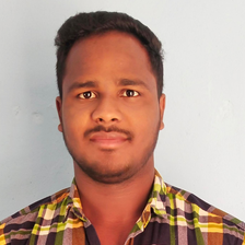 Raja R