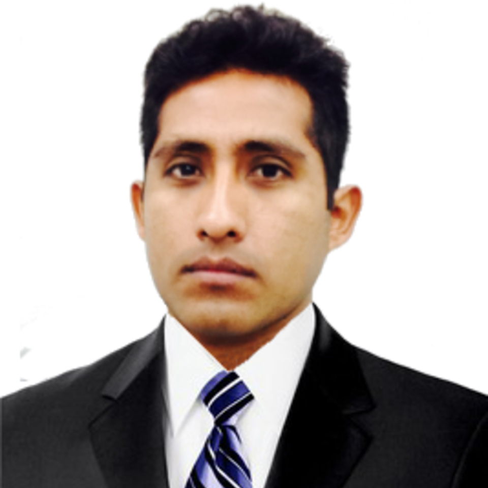 Harwer Puclla Martinez