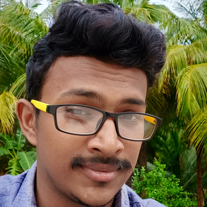 Srinivasan. V