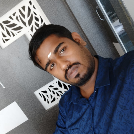 Vishnu Raveendran
