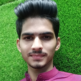 Omkar Vijay Kamerkar