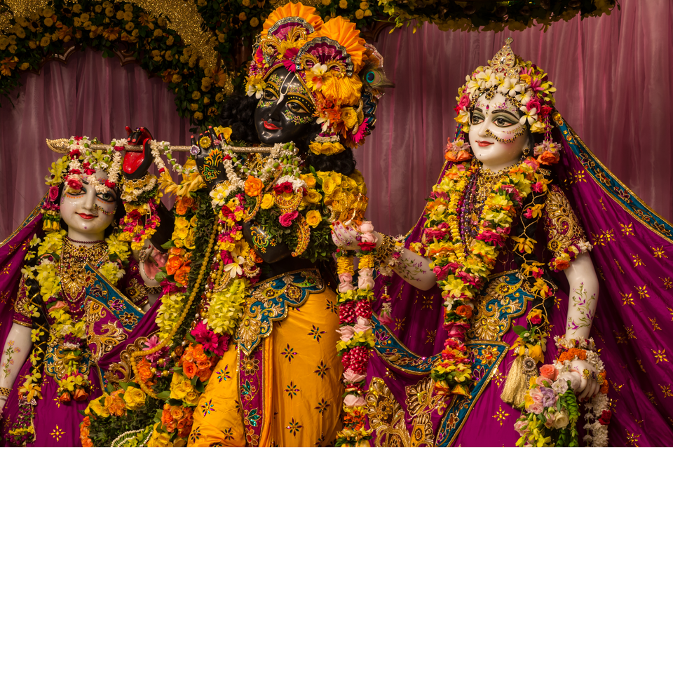 Yash Bhagchandani