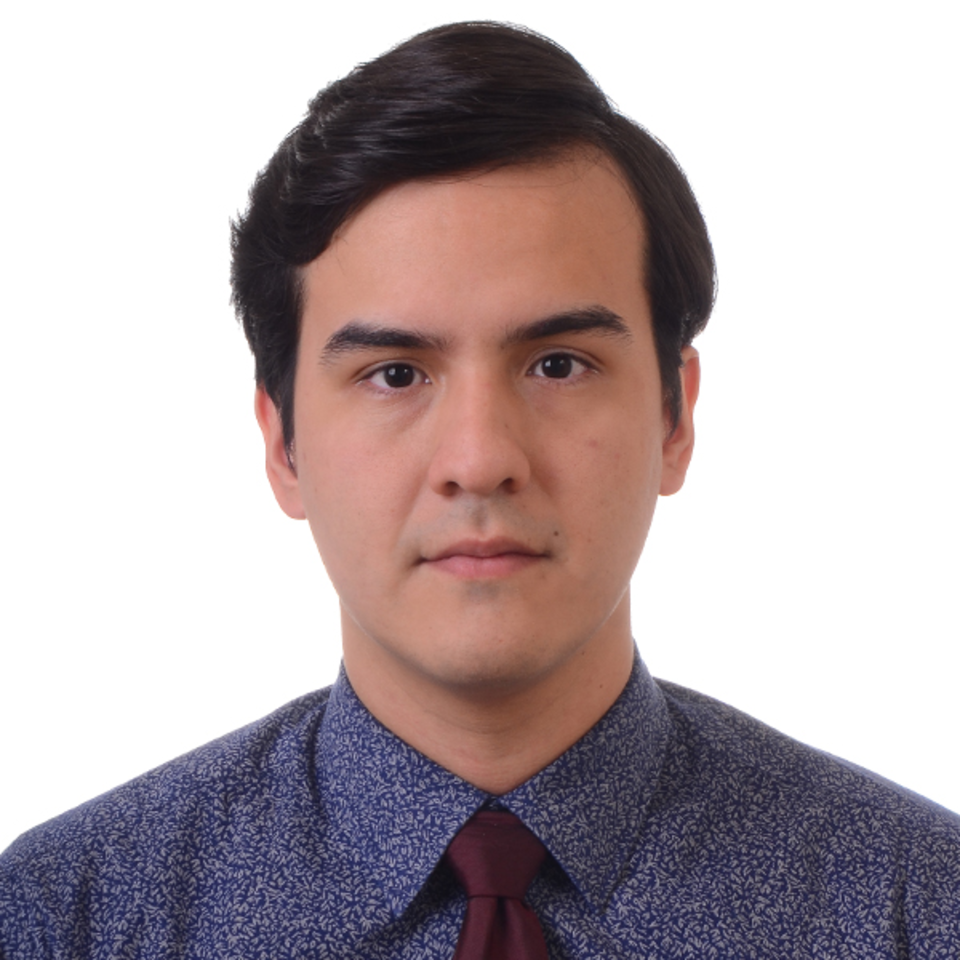 Sergio Luis Barrios Palacios