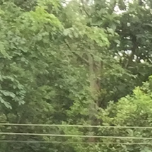 Kesava Garapati
