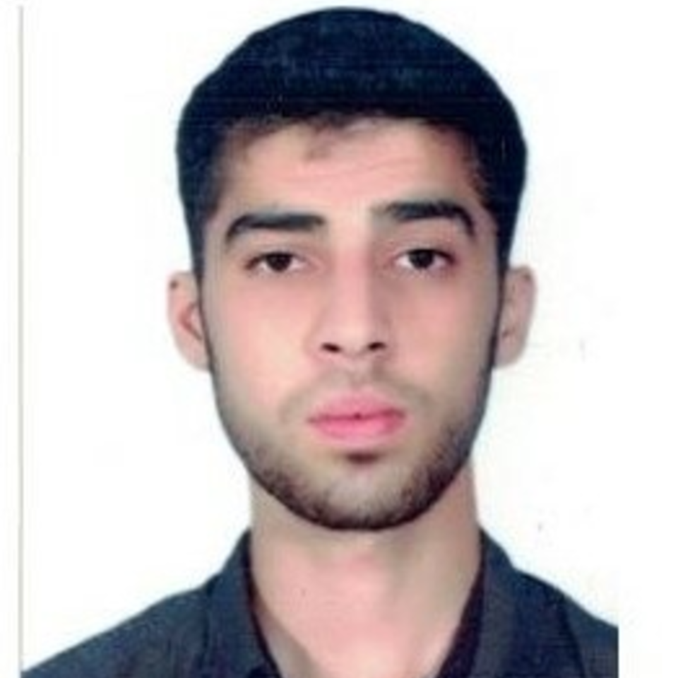 Ibrahim Ali Khan