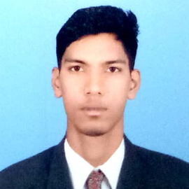 Mariselvam M
