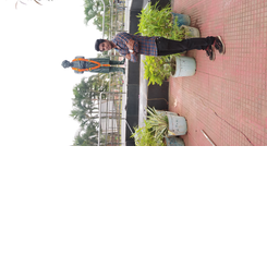 Muna Rout