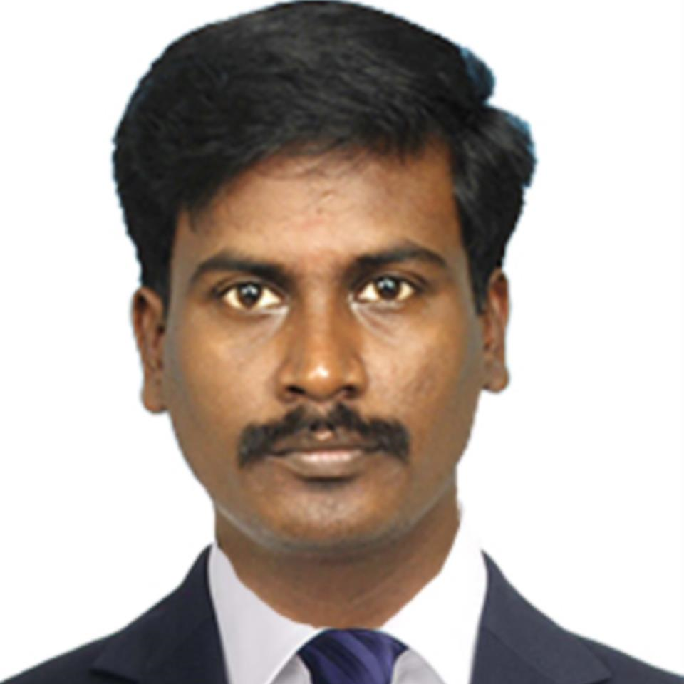 Rajaraman Perumal
