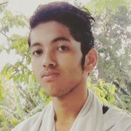 Himanta Handique