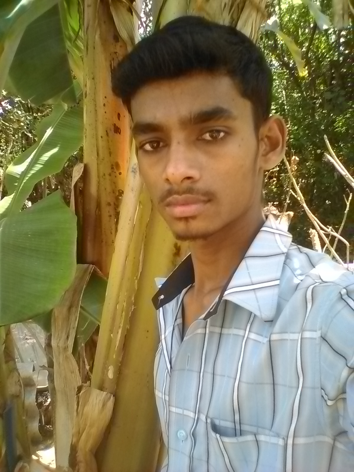 Dharma Lingam