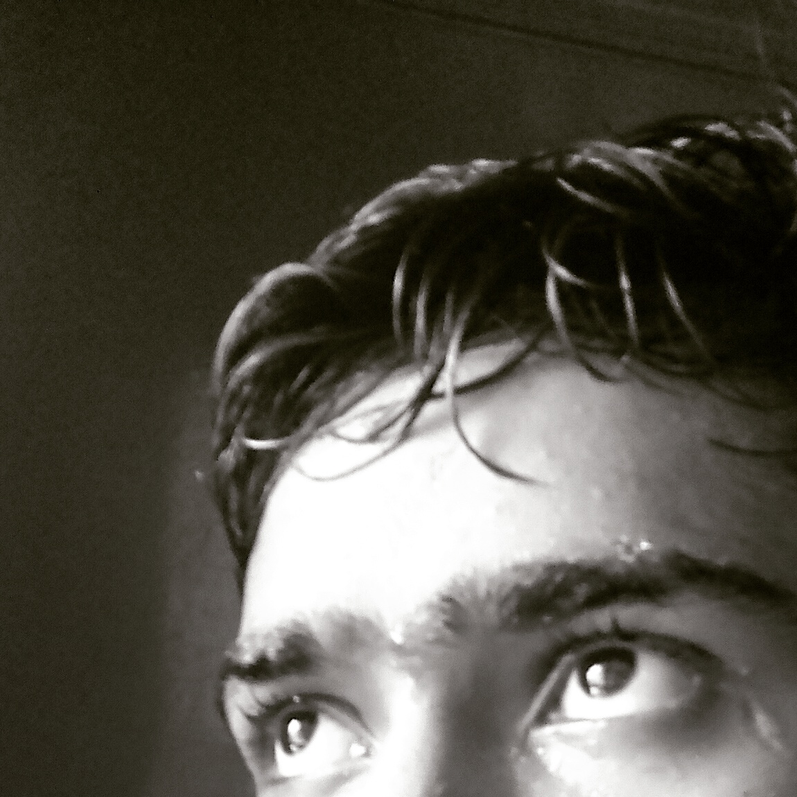 Lokesh Pal