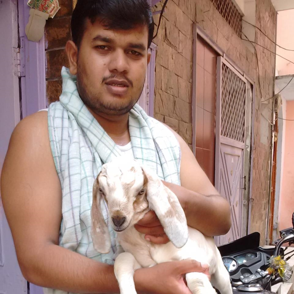 Ankit Lodhi