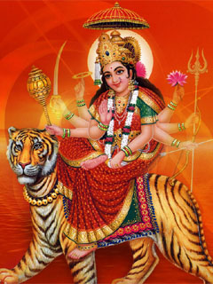 Sunil Yadav