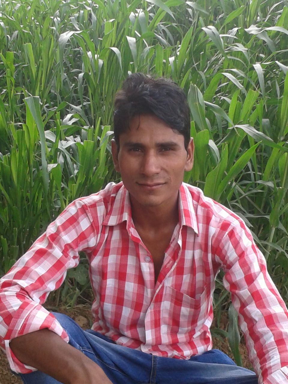 Tarif Hussain