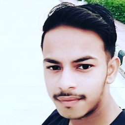 Prince Rajput