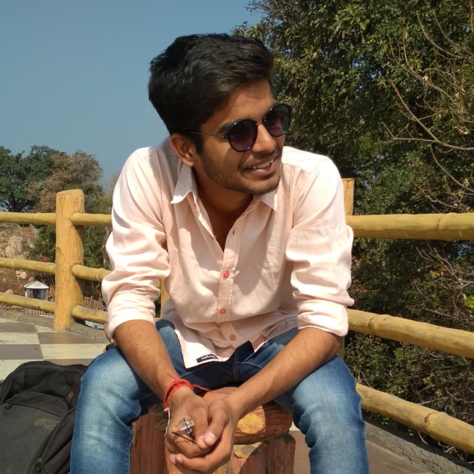 Vikas Kumar Meena
