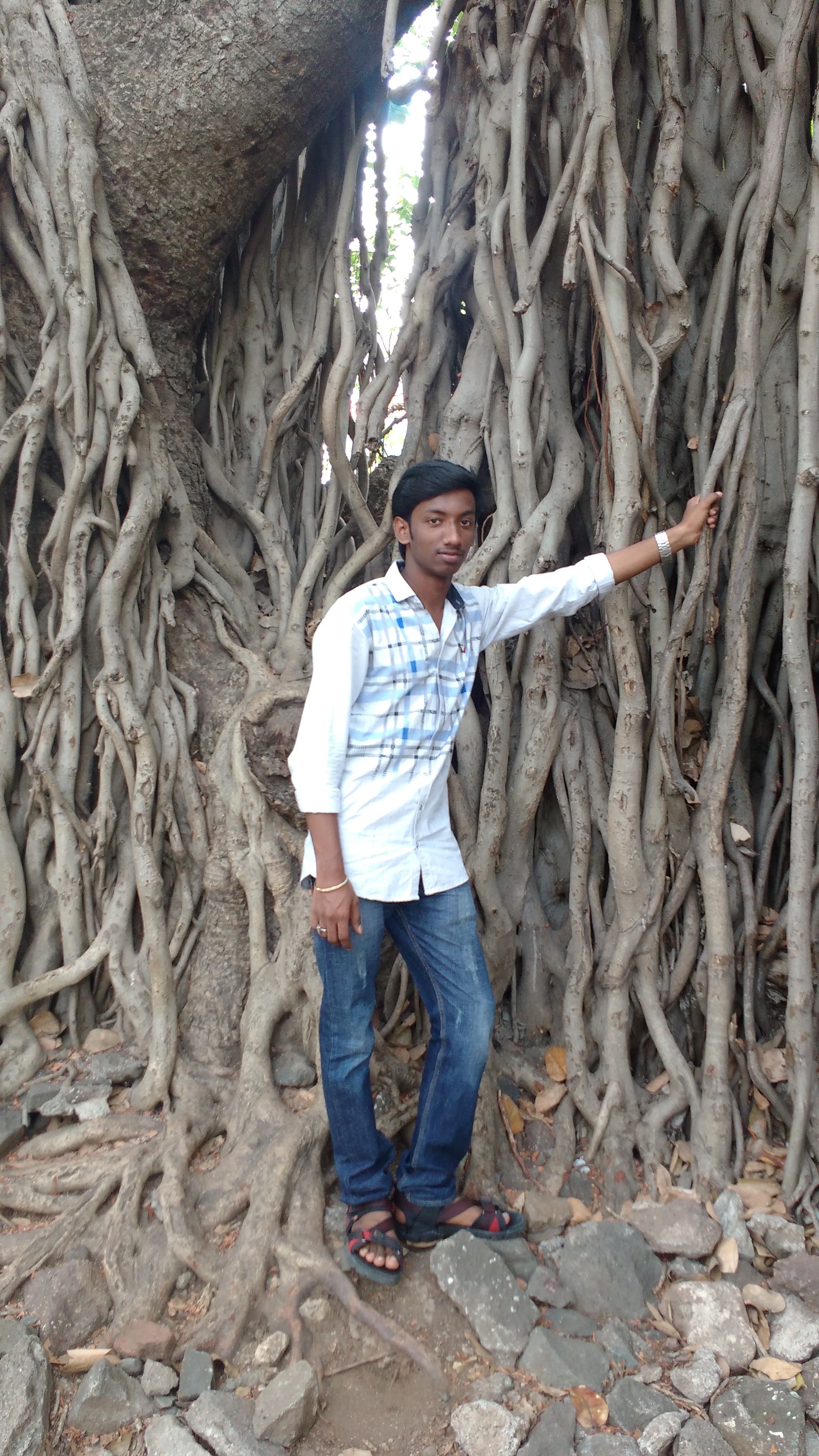 user profile