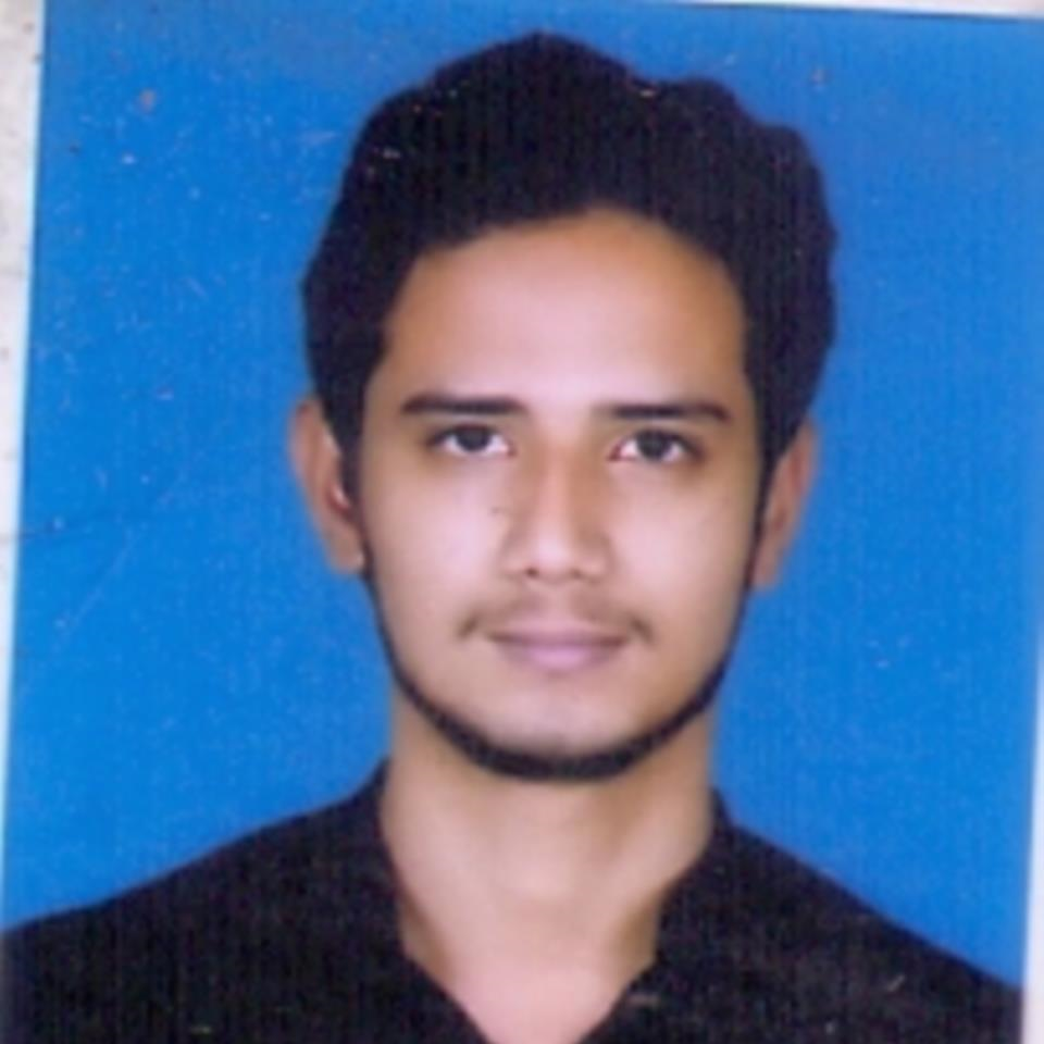 Anubhav Ray
