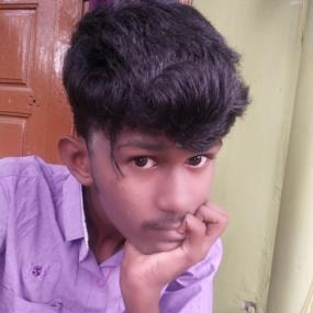 G.Karthick Narayanan